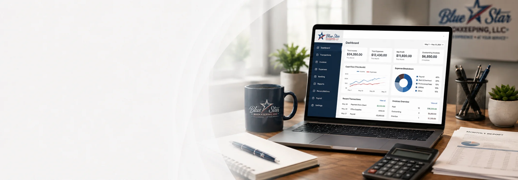 Blue Star Bookkeeping dashboard and financial reports in Austin